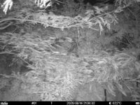 Aug 14 2025 21:00:32, #01