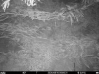 Aug 15 2025  0:00:31, #01
