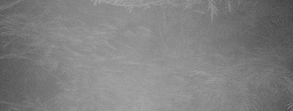 Aug 15 2025  3:00:30, #01