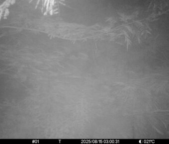 Aug 15 2025  3:00:30, #01