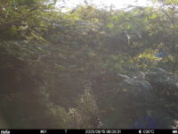 Aug 15 2025  6:00:31, #01
