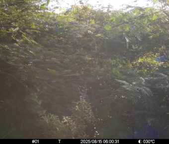 Aug 15 2025  6:00:31, #01