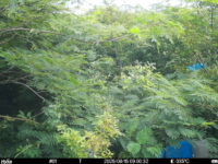 Aug 15 2025  9:00:31, #01