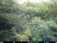 Aug 15 2025 12:00:31, #01