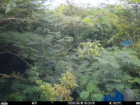 Aug 15 2025 15:00:31, #01
