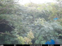 Aug 15 2025 18:00:30, #01