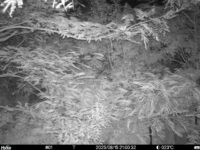 Aug 15 2025 21:00:32, #01