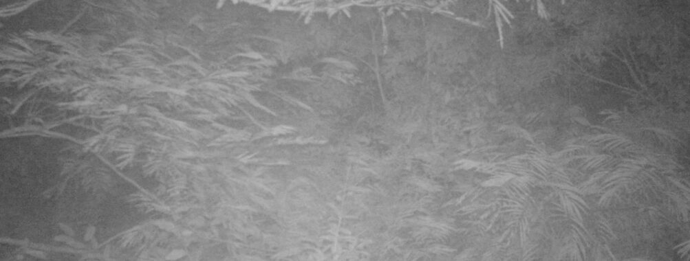 Aug 16 2025  0:00:31, #01