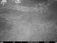 Aug 16 2025  0:00:31, #01