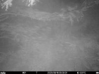 Aug 16 2025  3:00:31, #01