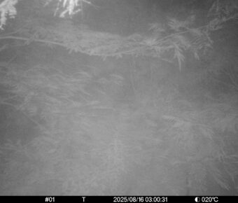 Aug 16 2025  3:00:31, #01