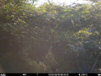 Aug 16 2025  6:00:31, #01