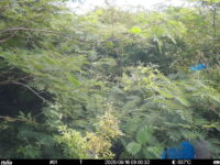 Aug 16 2025  9:00:31, #01