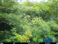 Aug 16 2025 12:00:32, #01