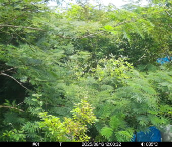 Aug 16 2025 12:00:32, #01