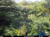 Aug 16 2025 15:00:31, #01