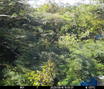 Aug 16 2025 15:00:31, #01