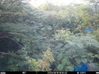 Aug 16 2025 18:00:32, #01