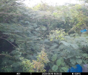 Aug 16 2025 18:00:32, #01