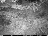 Aug 16 2025 21:00:32, #01