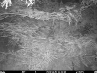 Aug 17 2025  0:00:30, #01