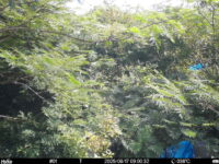 Aug 17 2025  9:00:32, #01