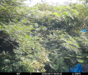 Aug 17 2025  9:00:32, #01