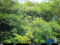 Aug 17 2025 12:00:32, #01