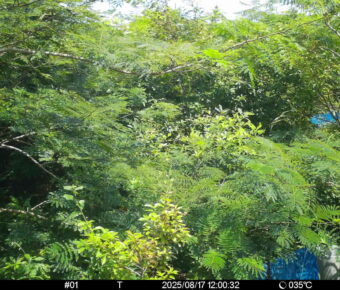 Aug 17 2025 12:00:32, #01