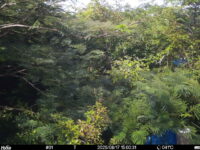 Aug 17 2025 15:00:31, #01