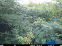Aug 17 2025 18:00:32, #01
