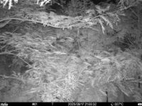 Aug 17 2025 21:00:32, #01