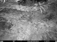 Aug 18 2025  0:00:30, #01