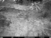 Aug 18 2025  3:00:31, #01