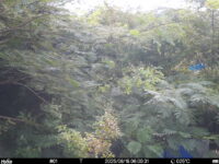Aug 18 2025  6:00:31, #01