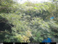 Aug 18 2025  9:00:32, #01