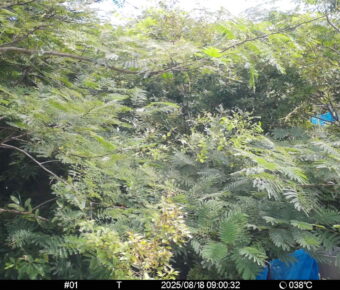 Aug 18 2025  9:00:32, #01