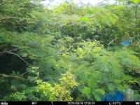 Aug 18 2025 12:00:31, #01