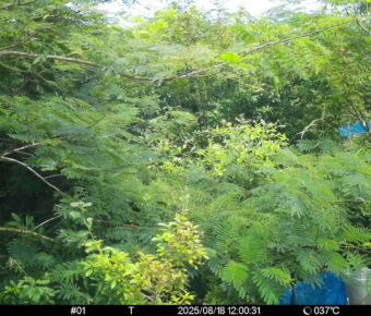 Aug 18 2025 12:00:31, #01