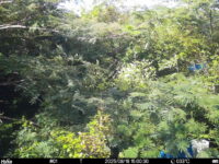 Aug 18 2025 15:00:30, #01