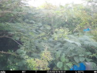 Aug 18 2025 18:00:31, #01