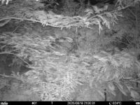 Aug 18 2025 21:00:31, #01