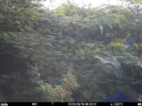 Aug 19 2025  6:00:31, #01