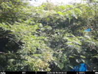 Aug 19 2025  9:00:32, #01
