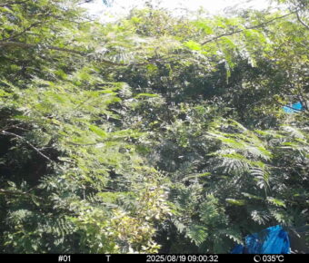 Aug 19 2025  9:00:32, #01