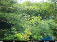 Aug 19 2025 12:00:31, #01
