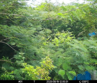 Aug 19 2025 12:00:31, #01