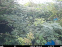 Aug 19 2025 18:00:32, #01