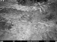 Aug 20 2025  0:00:31, #01