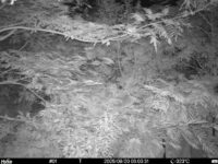 Aug 20 2025  3:00:31, #01